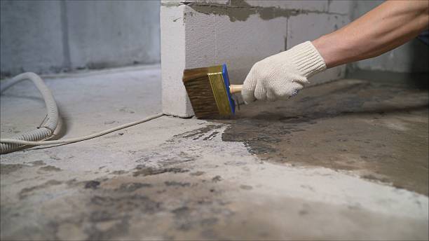 24/7 Emergency Crawl Space Encapsulation experts in Byron, GA